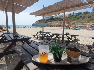 Coco Beach Bar - Cala Tropicana