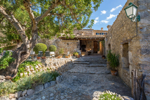 Finca Es Castell