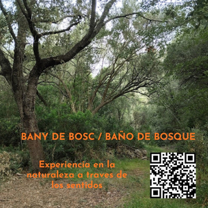 Finca Santa Rita.Costitx.