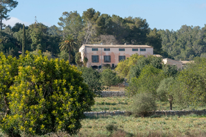 Finca Son Cladera