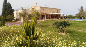 Finca SON FRED, Campos