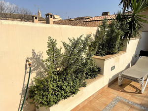 Logis Hotel Segles