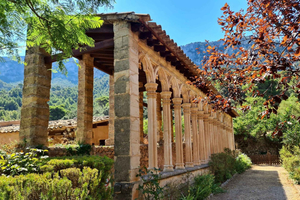 Mallorca: Tramuntana Mountains Tour with Local Guide & Lunch