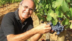 Vins Nadal