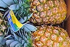 Markeder