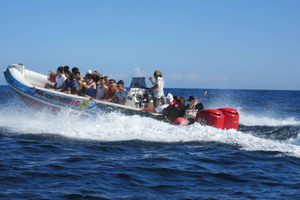 Blue Lagoon and Comino Caves Speedboat Tour