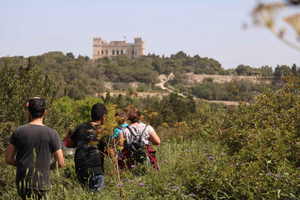 Buskett Woodlands und Dingli Cliffs Private Nature Tour