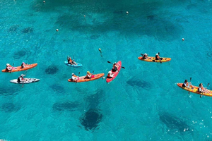 Исследуйте пещеры и места для купания с Gozo Kayak Tours в Шленди