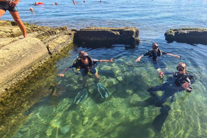 Мальта, залив Святого Павла: программа «Откройте для себя подводное плавание» PADI