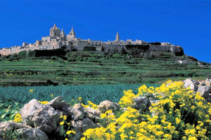 Mdina, tre byer og Gozo – tridagers guidet tur