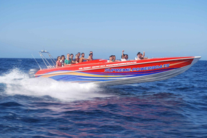 Sliema : Excursion en bateau à moteur à Gozo avec grottes et arrêt sur l'île