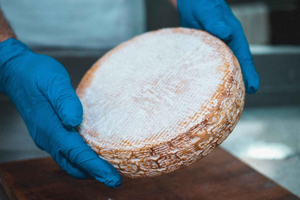 Żejtun: Cheese Making Experience including Tasting Session
