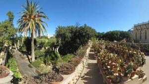 Argotti Gardens