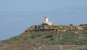 Ghasri