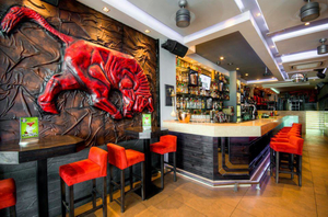 Tex Mex Bar and Grill