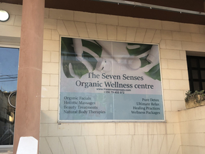 The Seven Senses-Organic Wellness center