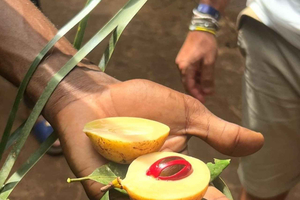 Spice Farm, Stone Town, Prison & Nakupenda+pick up+entry fee