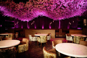 Akshaya - The Picture Drome