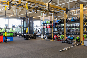 David Lloyd Speke