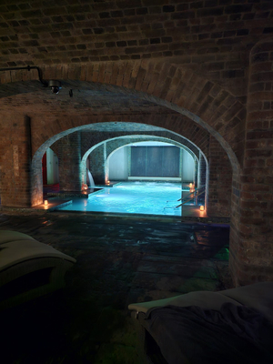 Maya Blue Wellness