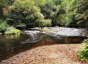 Mossley beach