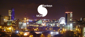 Sankeys
