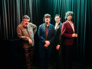 The Mountain Goats