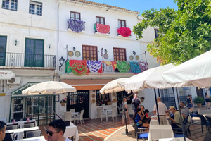 From Estepona, Mijas, Marbella: Marbella Private Tour with Transport, Tapas, and Drinks