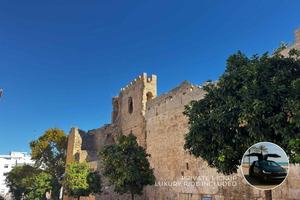 From Málaga: Private Marbella Old Town Luxury Tesla X Tour