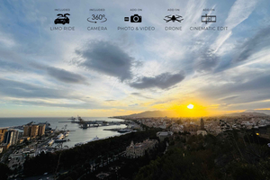From Marbella: Malaga City Tour VIP Tesla X 360° Cinematic