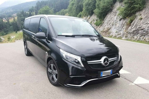Malaga Airport (AGP): Private Transfer to Marbella