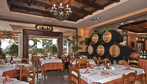 Bodegas La Venencia