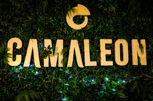 Camaleon Passion Food