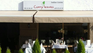 Curry Leaves