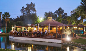 Divot Gastro Bar