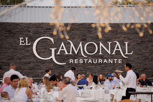 El Gamonal