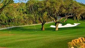 Elite Golf Services