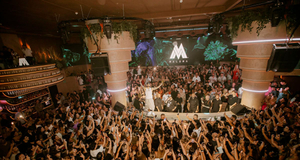 Fitz Marbella