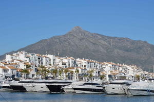 From Malaga or Costa del Sol: Mijas, Marbella & Puerto Banus