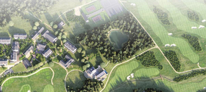 Halcyon Development Group