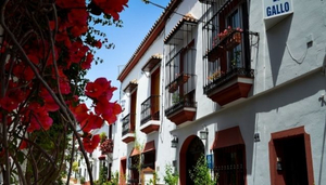 Hostal El Gallo Marbella