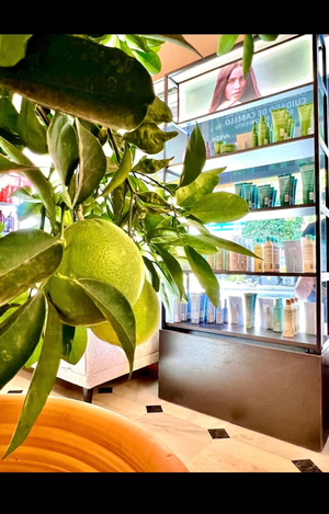 Umeo Marbella Aveda Salon