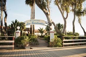 Los Sardinales
