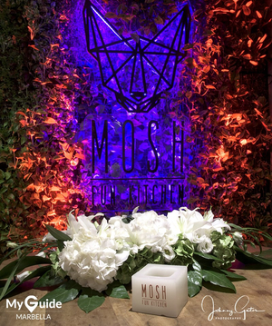 Mosh Fun Kitchen