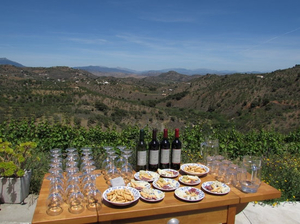 Remsamen Winery