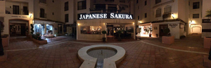 Sakura
