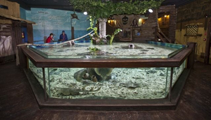Sea Life Centre
