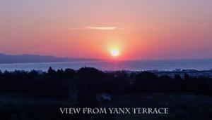 Yanx