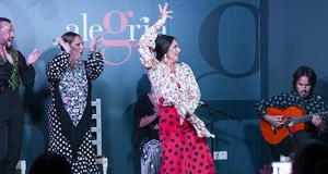Alegría Málaga: Flamenco Show