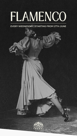 Flamenco at Sabine Beach